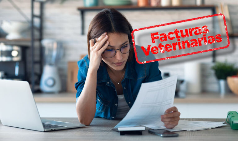 Nosotros y las facturas veterinarias: la historia interminable.