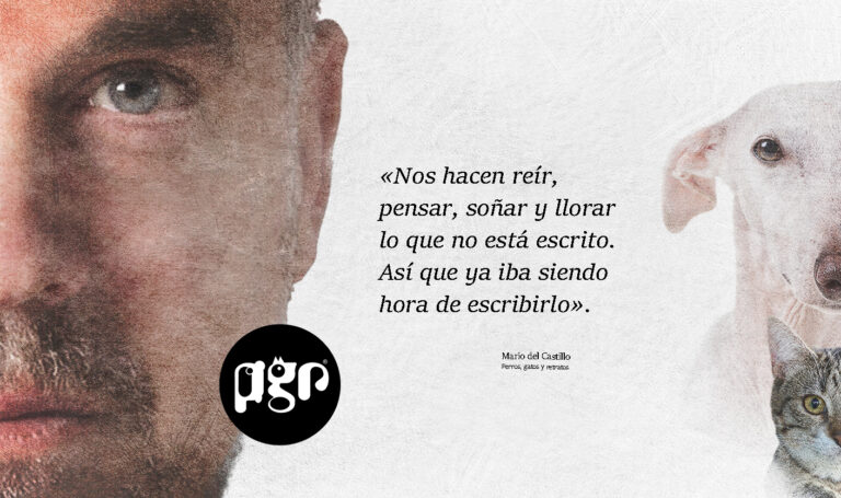 Tenemos suerte. Otra vez.