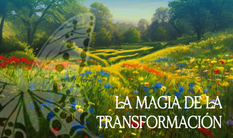 La magia de la transformación