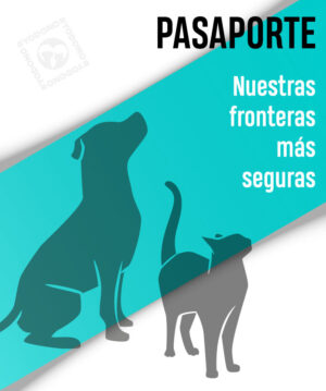 Pasaporte perros y gatos