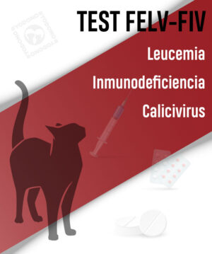 Test FELV-FIV y Calicivirus llegada gatos