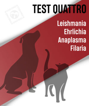 Test quattro llegada perros