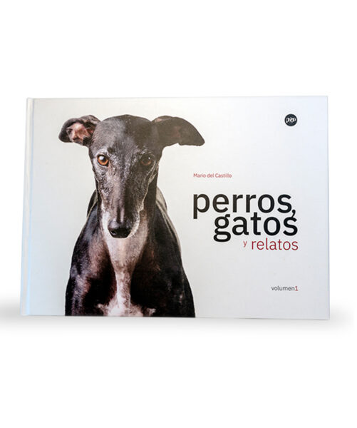 Perros, gatos y relatos. Volumen 1.