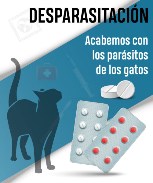 Desparasitación externa e interna trimestral gatos