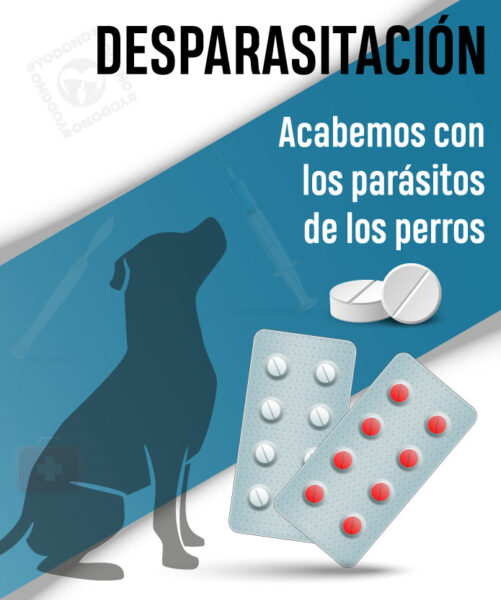 Desparasitación externa e interna mensual perros
