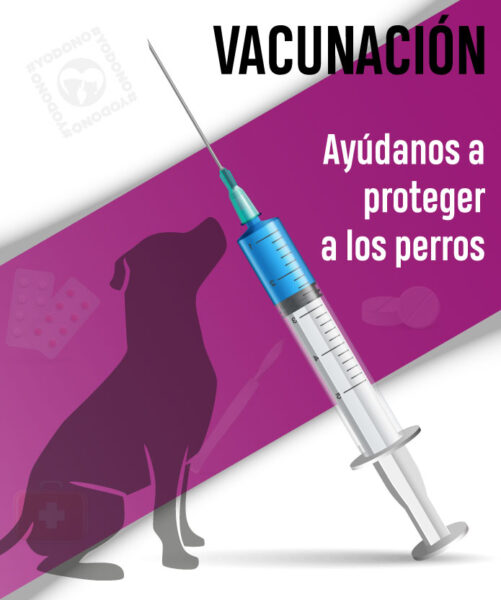 Vacunación rabia